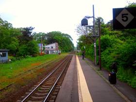 Description: C:\Users\Eric\Documents\Professional Files\IISS\Annual Records\2011 Hokkaido\2011 Pics\Small sizes\0612110847a.jpg