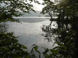Description: C:\Users\Eric\Documents\Professional Files\IISS\Annual Records\2011 Hokkaido\2011 Pics\Small sizes\onuma05.jpg