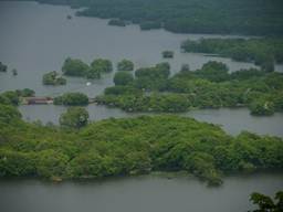 Description: C:\Users\Eric\Documents\Professional Files\IISS\Annual Records\2011 Hokkaido\2011 Pics\Small sizes\onuma07.jpg