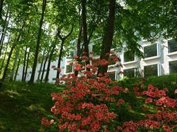Description: C:\Users\Eric\Documents\Professional Files\IISS\Annual Records\2011 Hokkaido\2011 Pics\Small sizes\hotel03.jpg